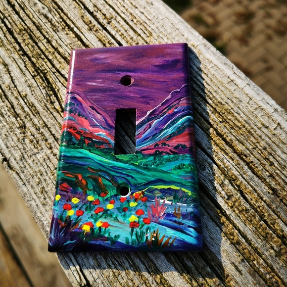 Handpainted Plastic Light Switch Plate - Picture 1 of 12